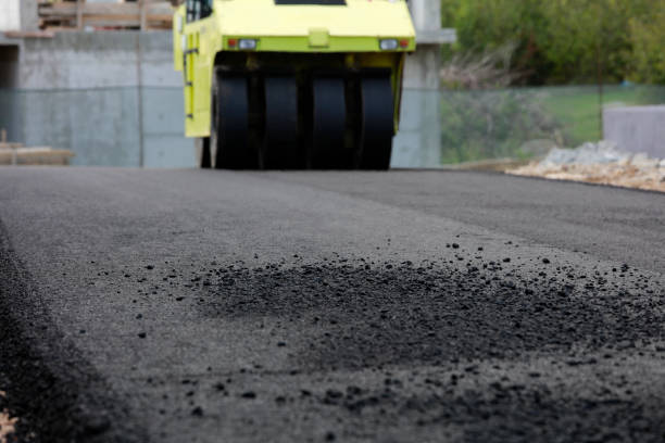 Best Driveway Pavers for Homes  in Raton, NM