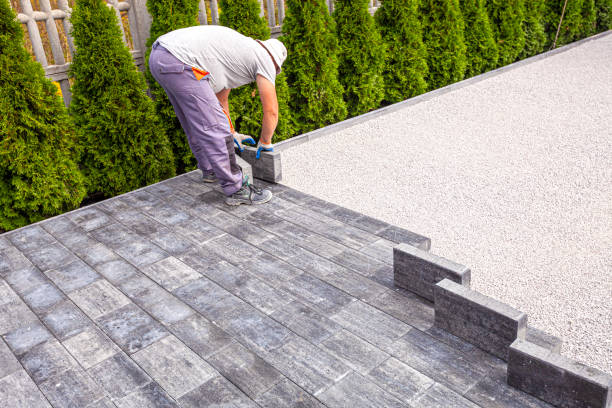 Best Driveway Paving Contractor  in Raton, NM
